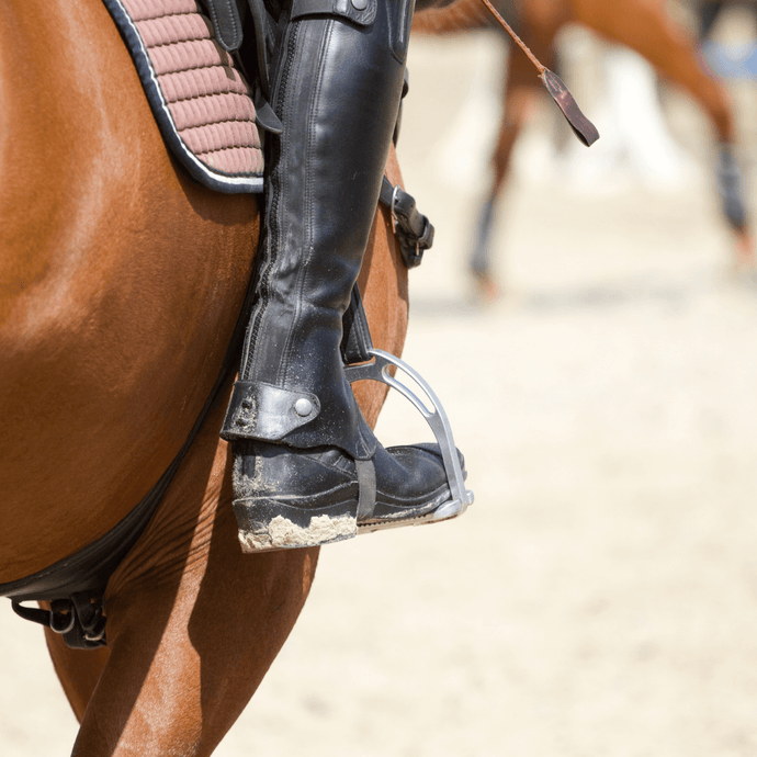 Tips for First Time Horse Riders