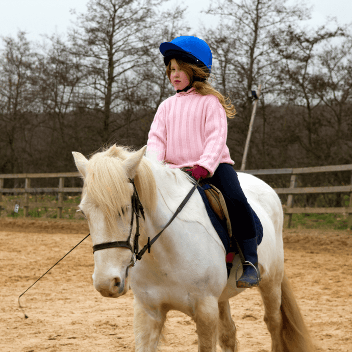 7 Types of Horse You Will Find on Every Riding School