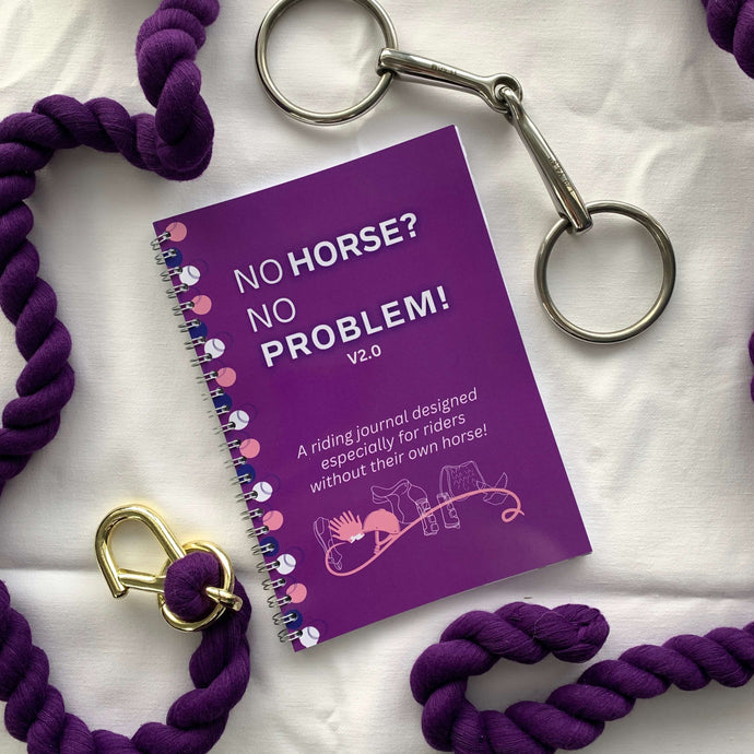 Introducing the No Horse? No Problem! Riding Lesson Journal V2.0