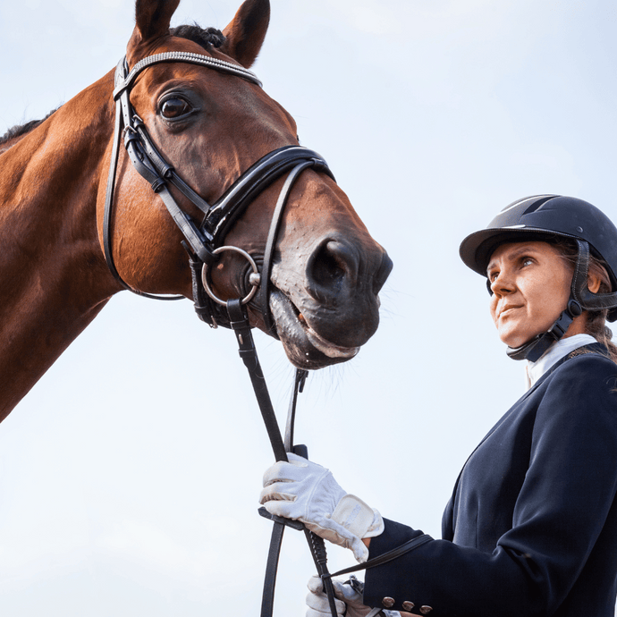 Dressage For Beginners: Our Top Tips